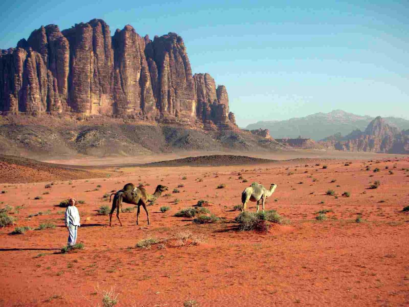 Wadi Rum Mundo Camp Άκαμπα Εξωτερικό φωτογραφία