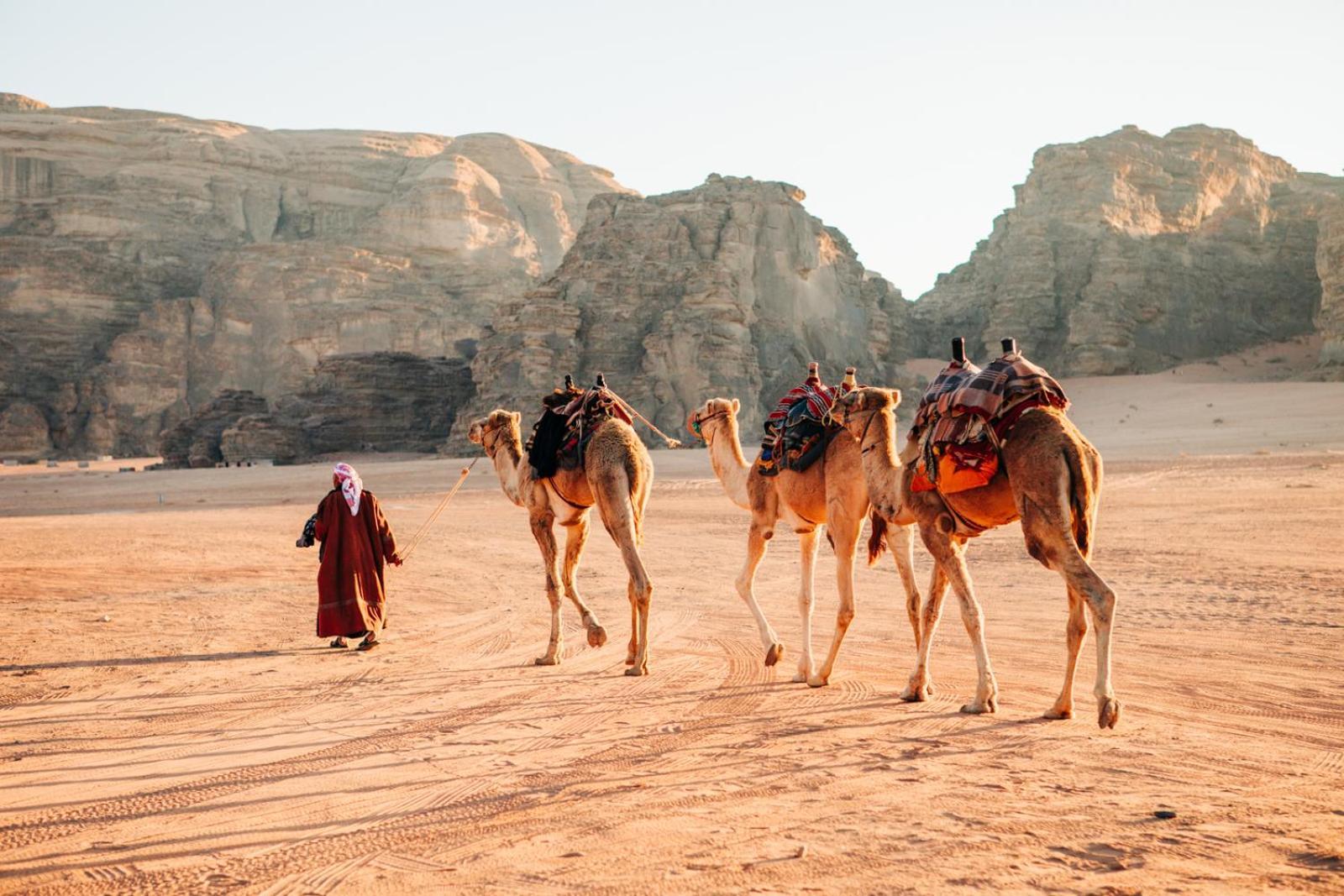 Wadi Rum Mundo Camp Άκαμπα Εξωτερικό φωτογραφία
