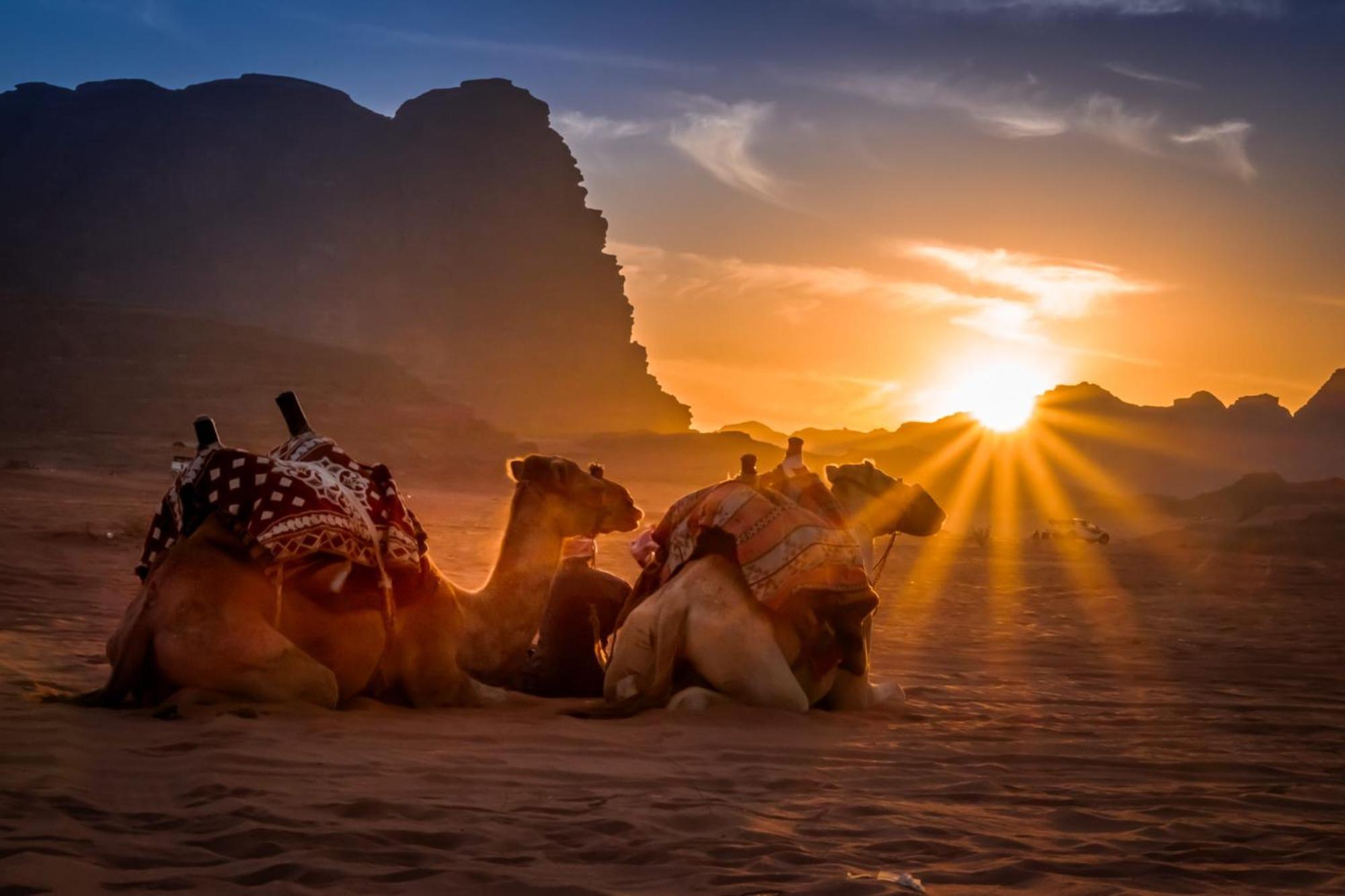 Wadi Rum Mundo Camp Άκαμπα Εξωτερικό φωτογραφία